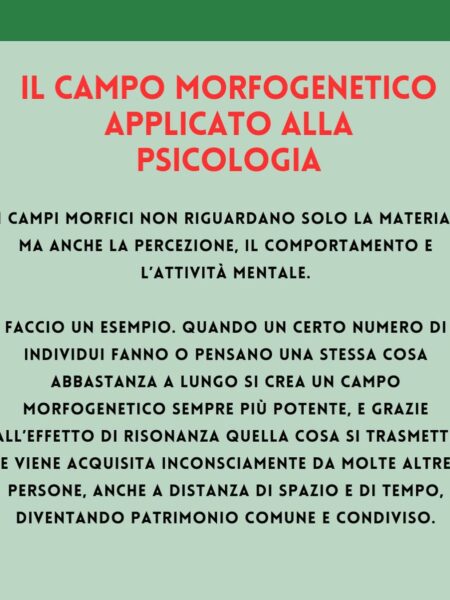 Articolo per kinesiologia online 2